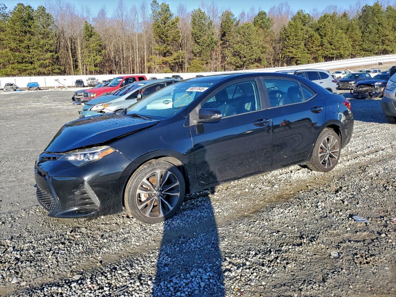 2019 TOYOTA COROLLA
