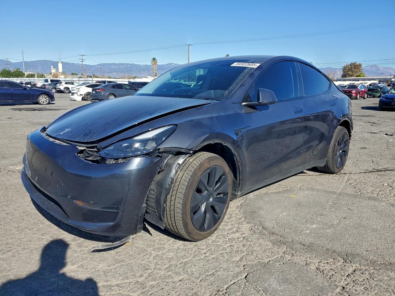 2025 TESLA MODEL Y
