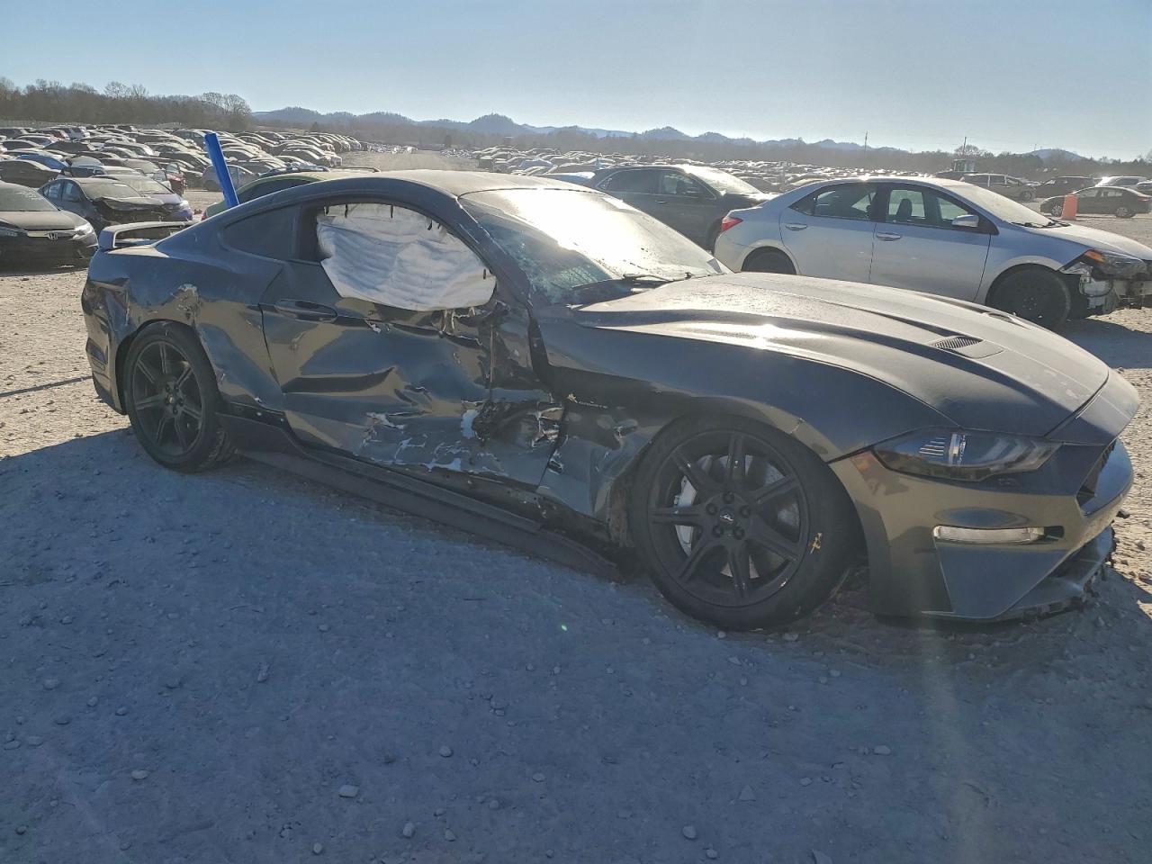 2019 FORD MUSTANG
