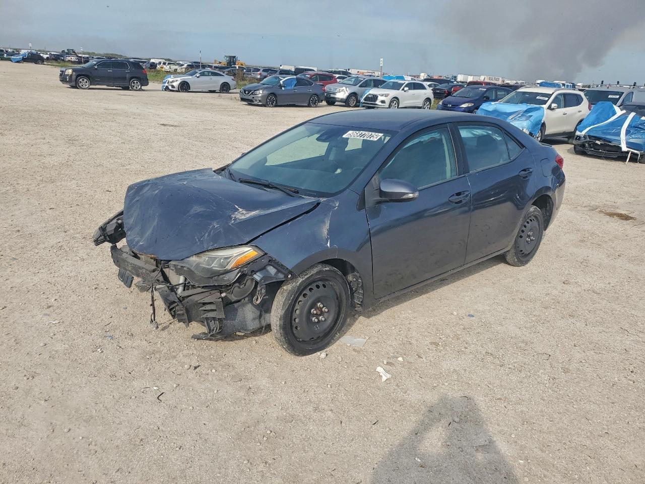 2019 TOYOTA COROLLA