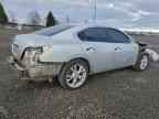 2013 NISSAN Maxima