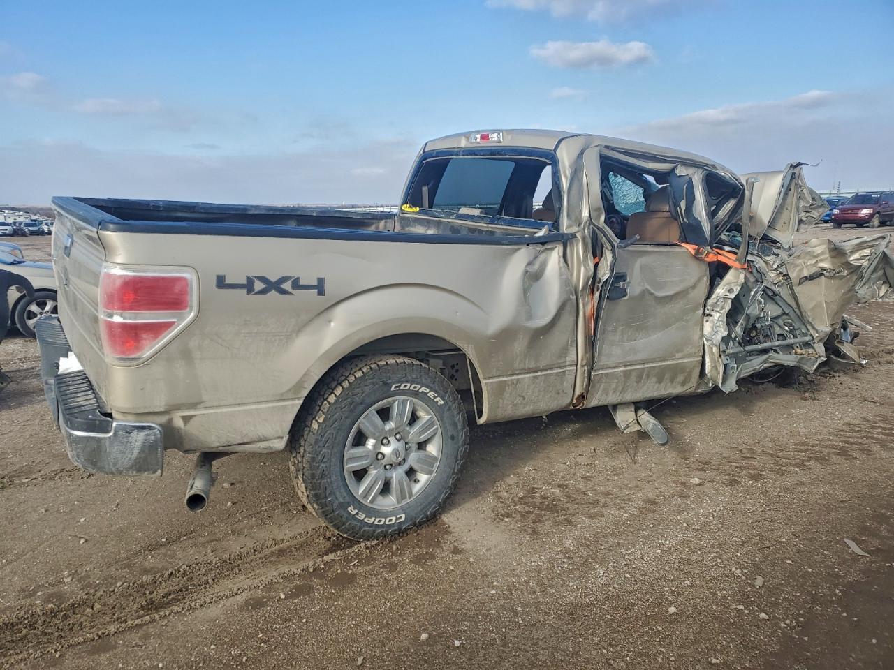 2009 FORD F-150