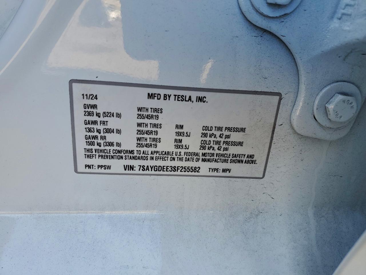 2025 TESLA MODEL Y
