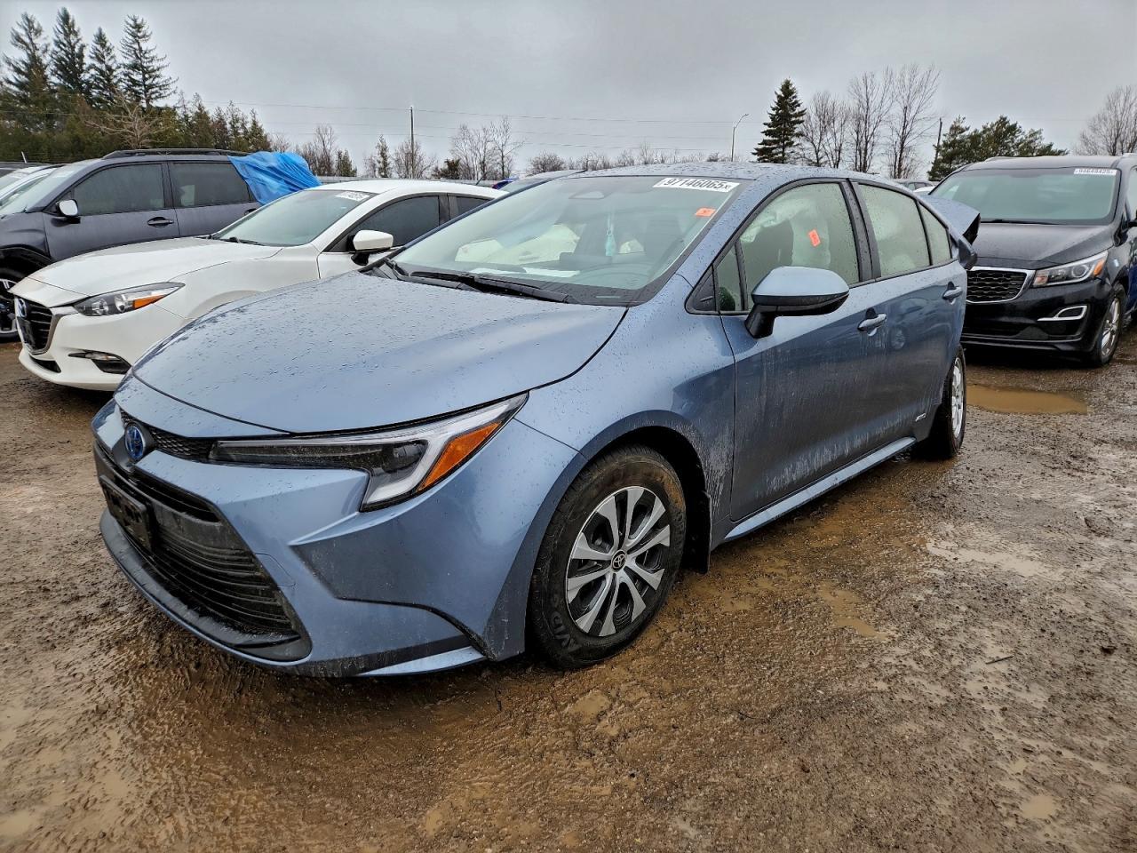 2025 TOYOTA COROLLA