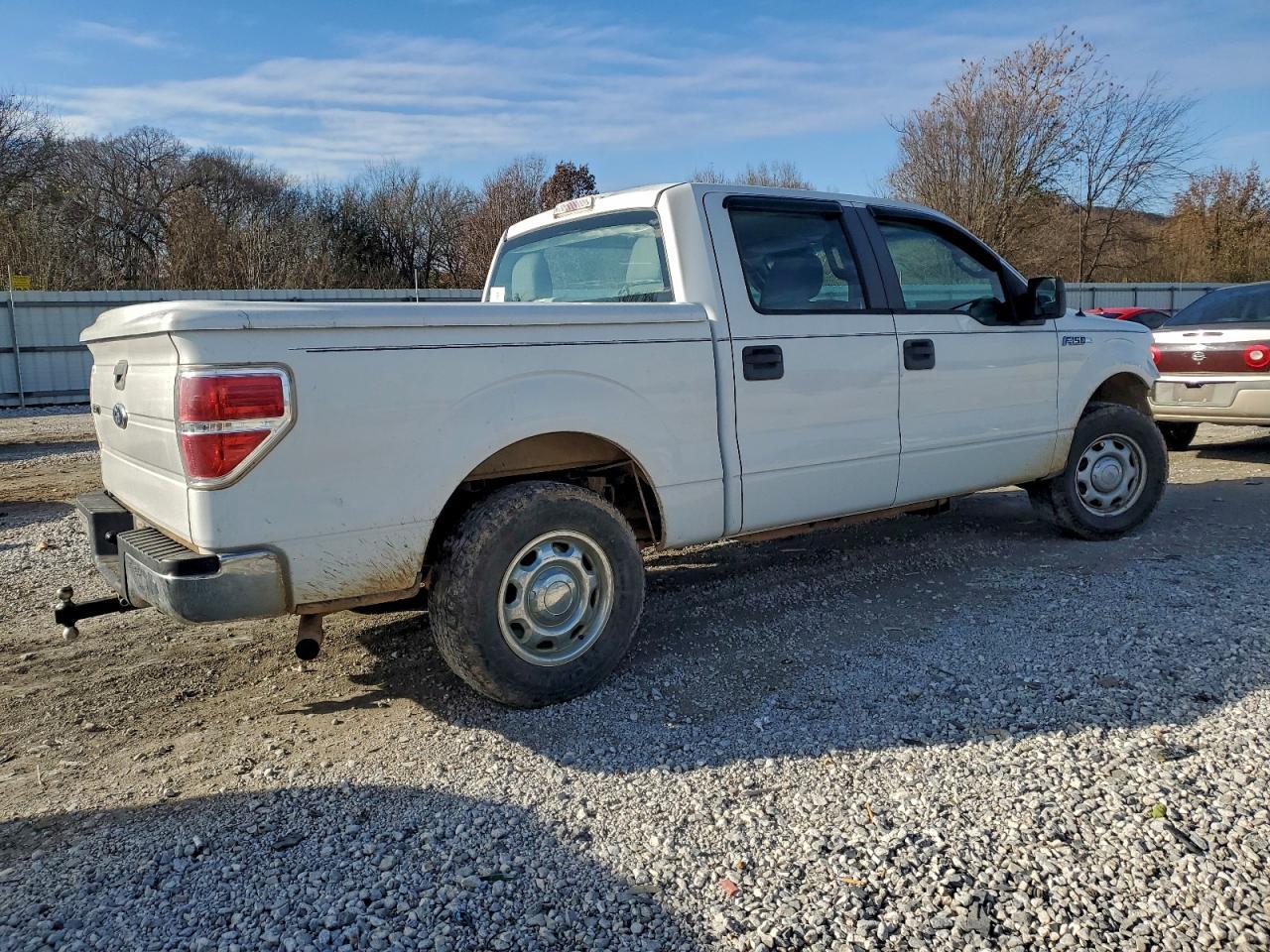 2010 FORD F-150