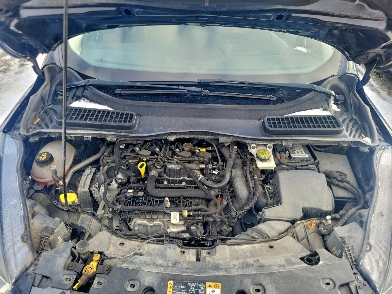 2019 FORD ESCAPE