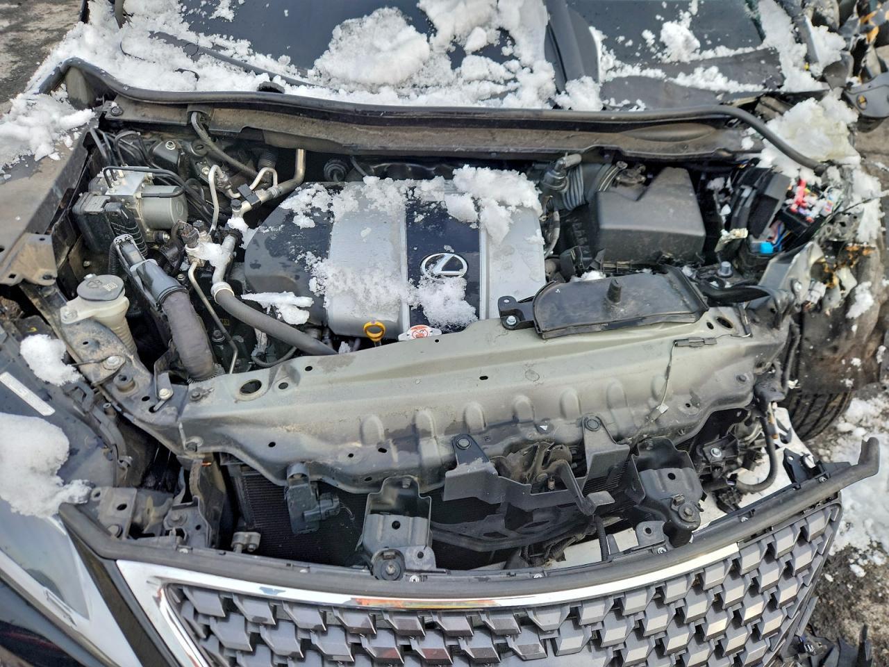 2021 LEXUS RX 350