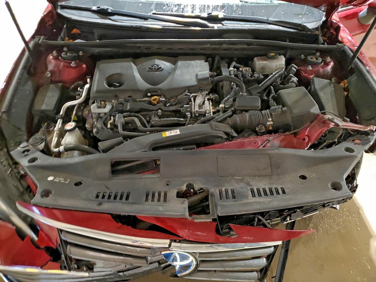 2019 TOYOTA Avalon