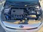2019 KIA RIO