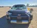 2024 TOYOTA 4Runner