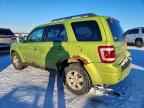 2011 FORD Escape Hybrid