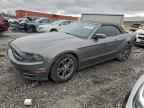 2013 FORD MUSTANG