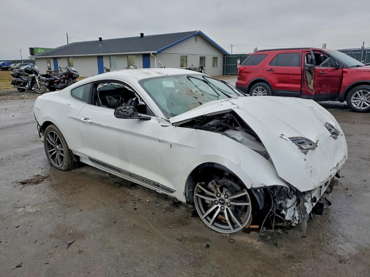 2019 FORD MUSTANG