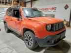 2015 JEEP Renegade