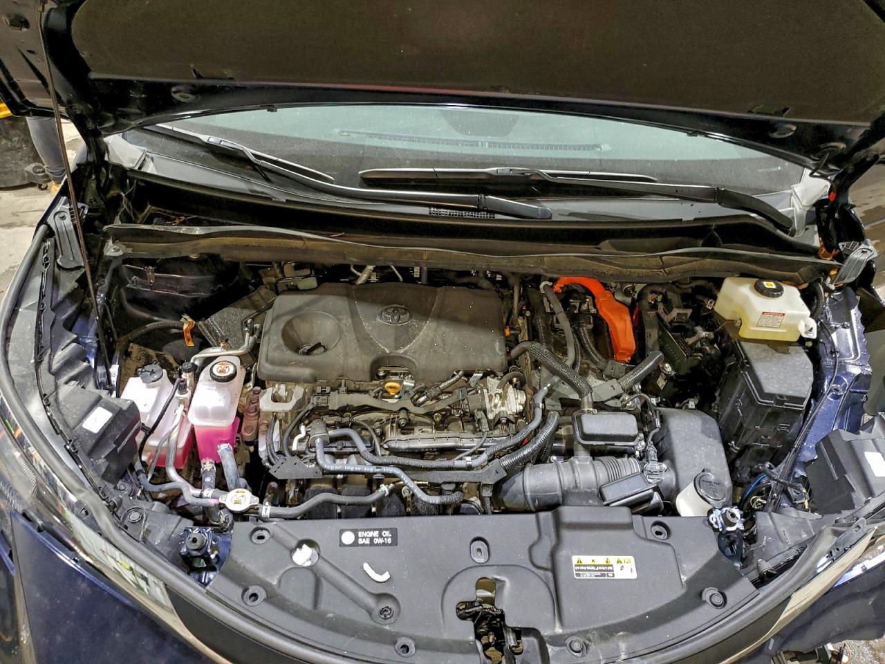 2025 TOYOTA SIENNA