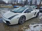 2006 Lamborghini Gallardo