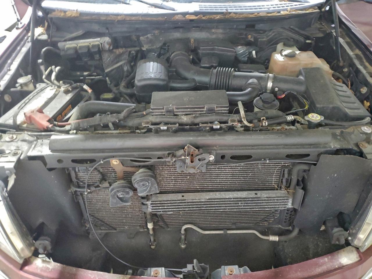 2010 FORD F-150