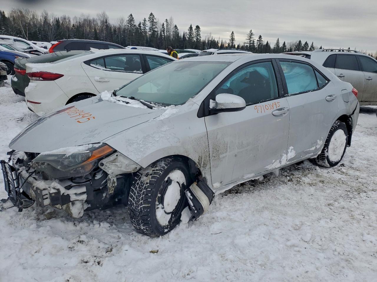 2019 TOYOTA COROLLA