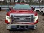 2009 FORD F-150 Lightning