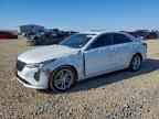2024 CADILLAC CT4