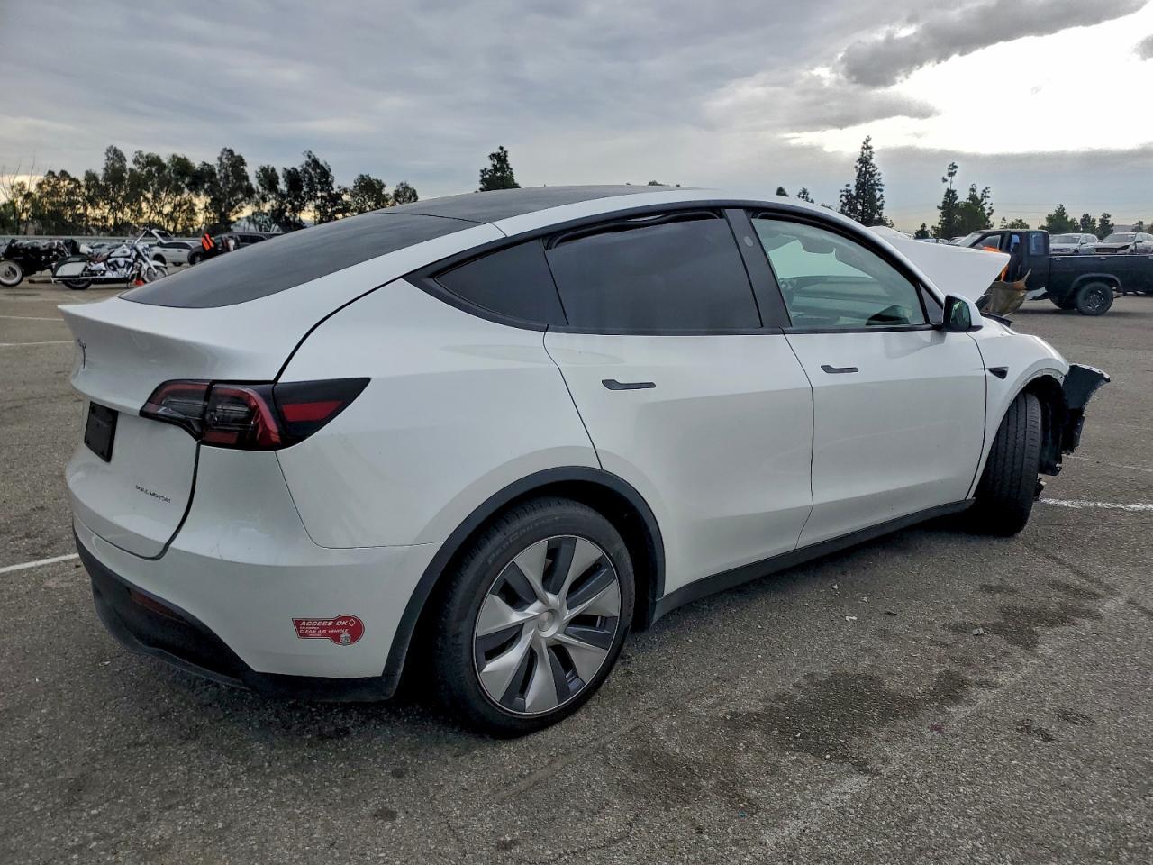 2024 TESLA MODEL Y