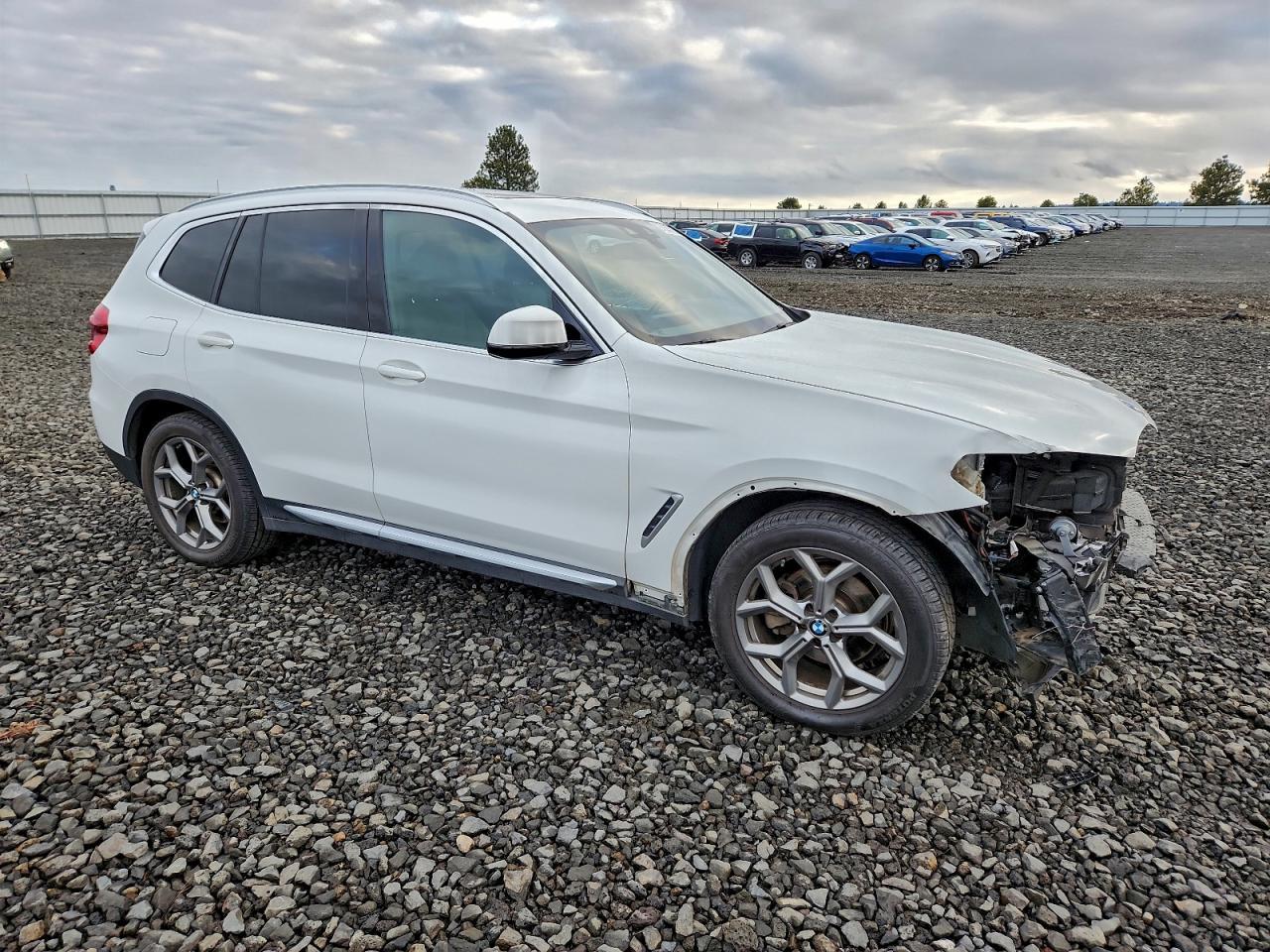 2021 BMW X3