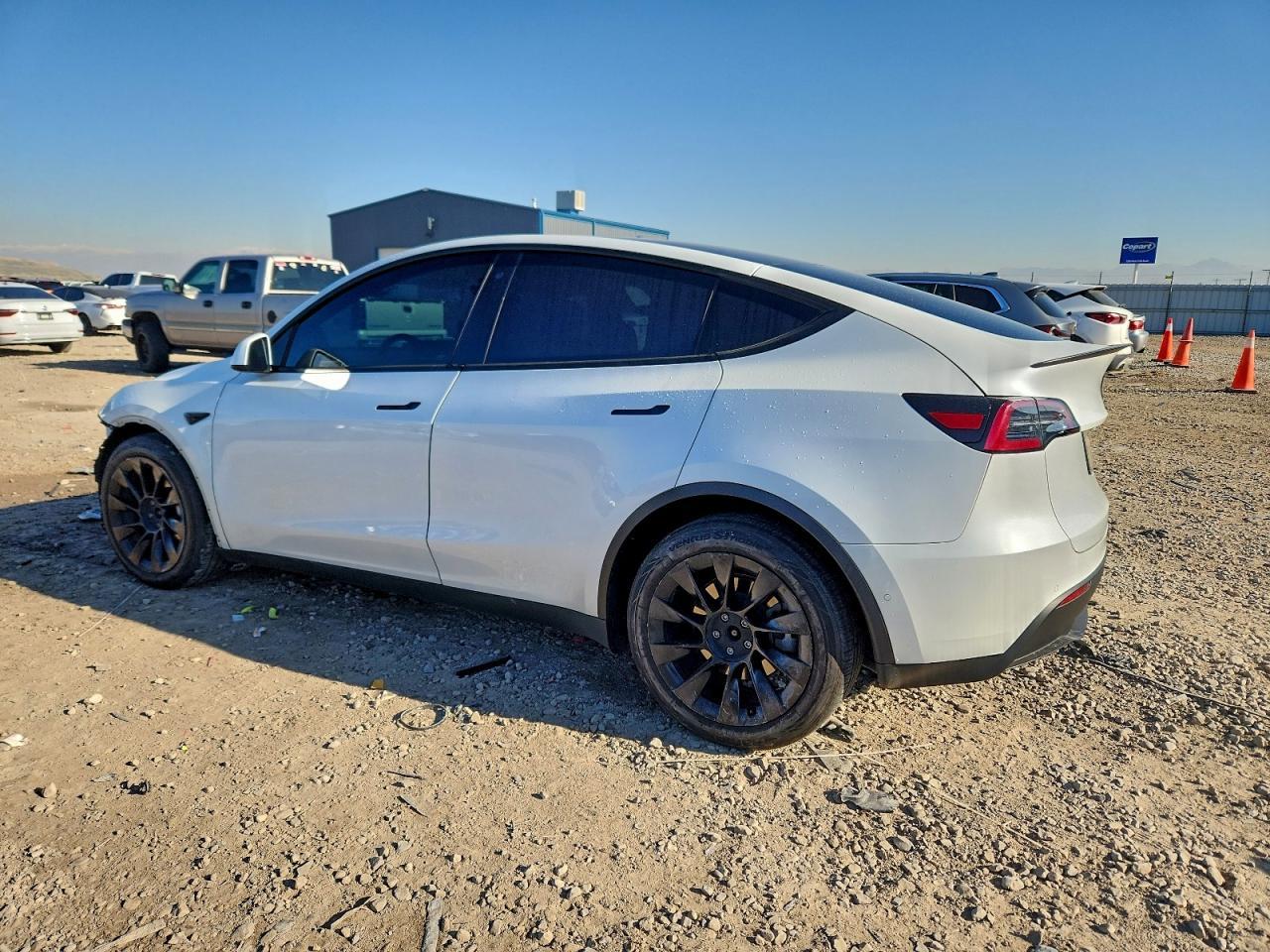 2020 TESLA MODEL Y