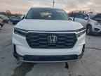 2024 HONDA PILOT