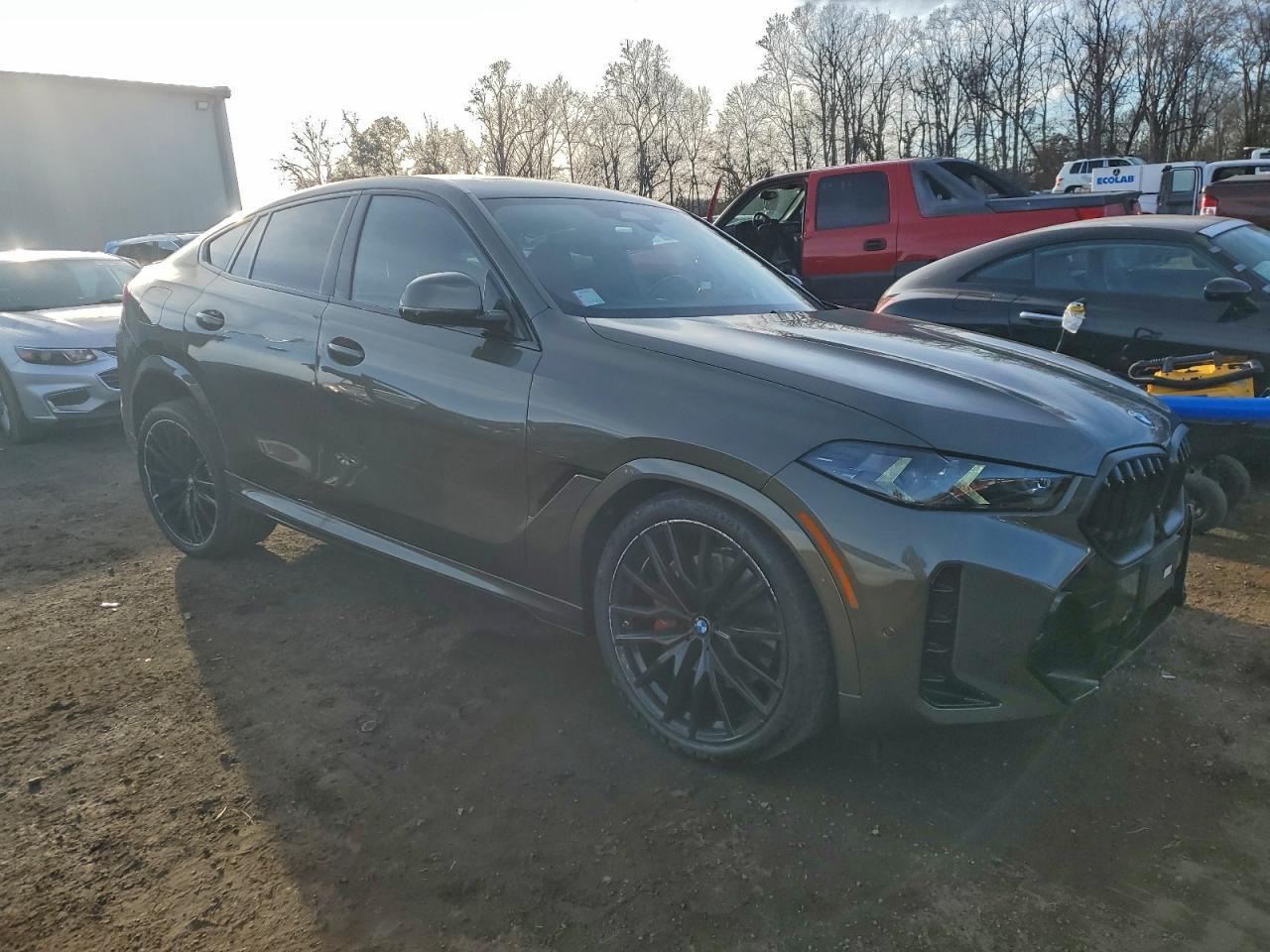 2025 BMW X6
