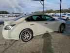 2013 NISSAN Maxima