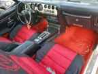 1981 PONTIAC Firebird