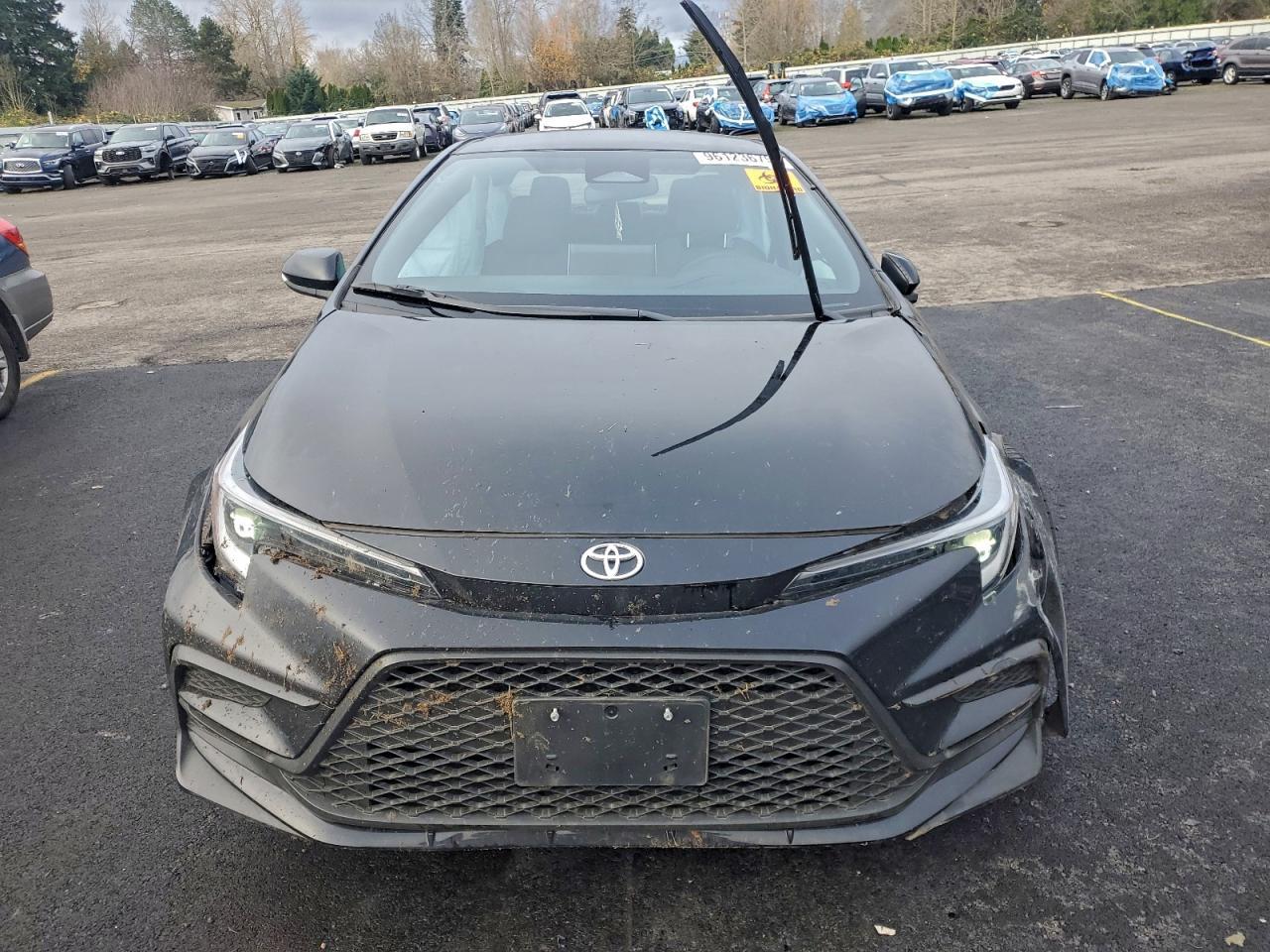 2025 TOYOTA COROLLA