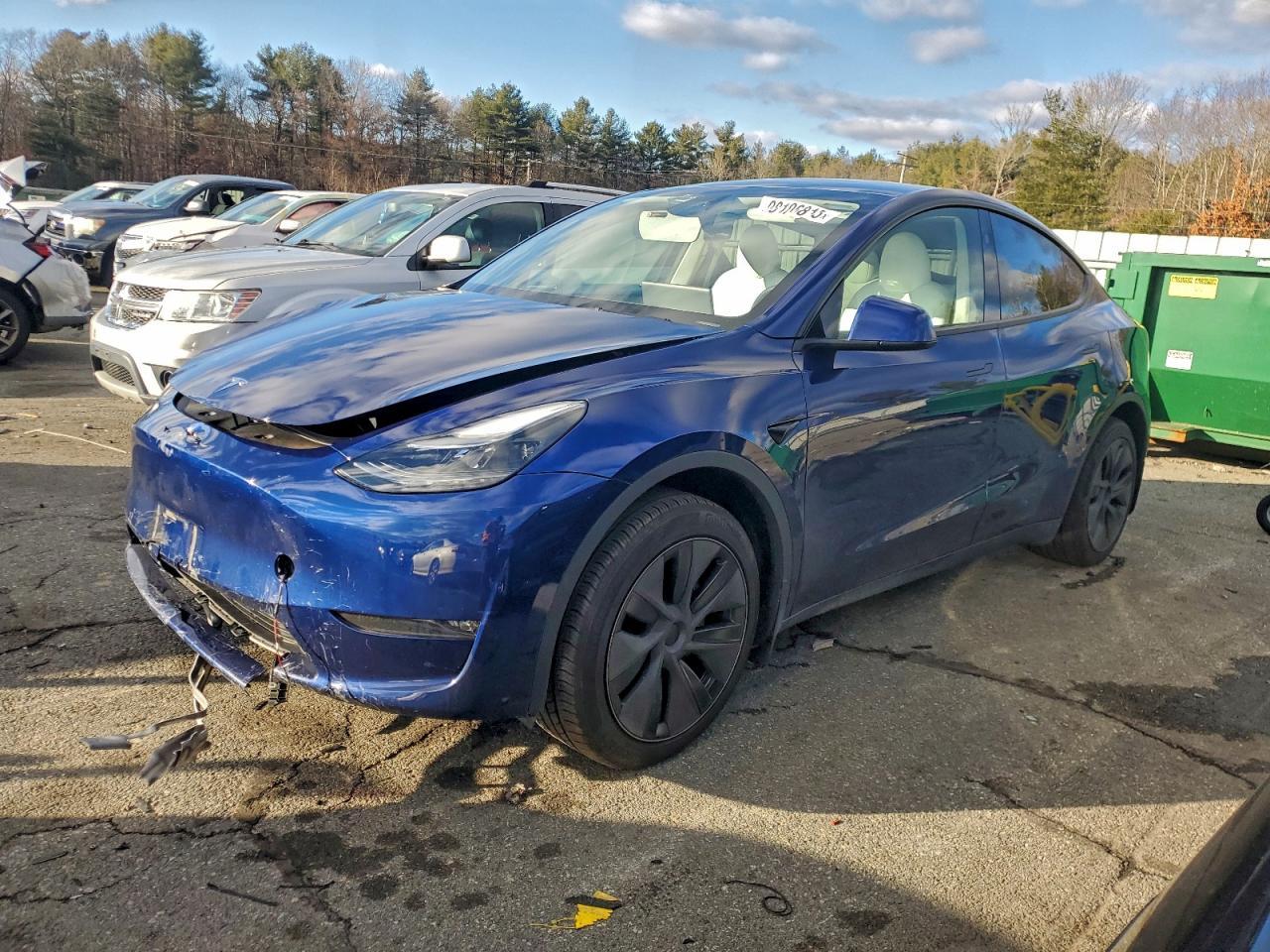 2025 TESLA MODEL Y