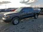 2007 DODGE Dakota