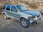 2007 FORD ESCAPE