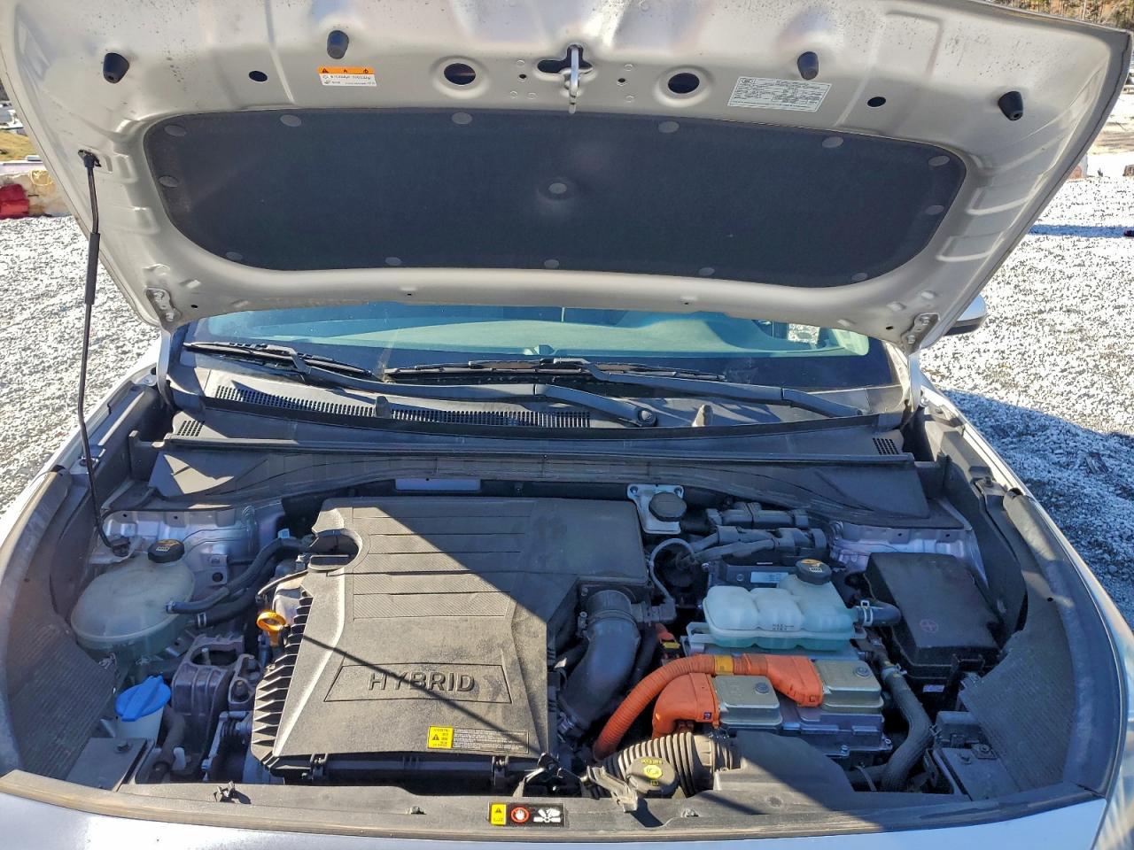 2019 KIA Niro