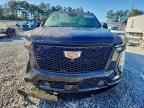 2025 CADILLAC Escalade ESV