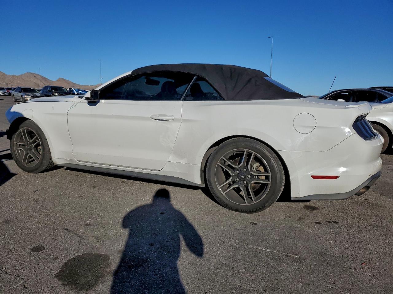 2019 FORD MUSTANG