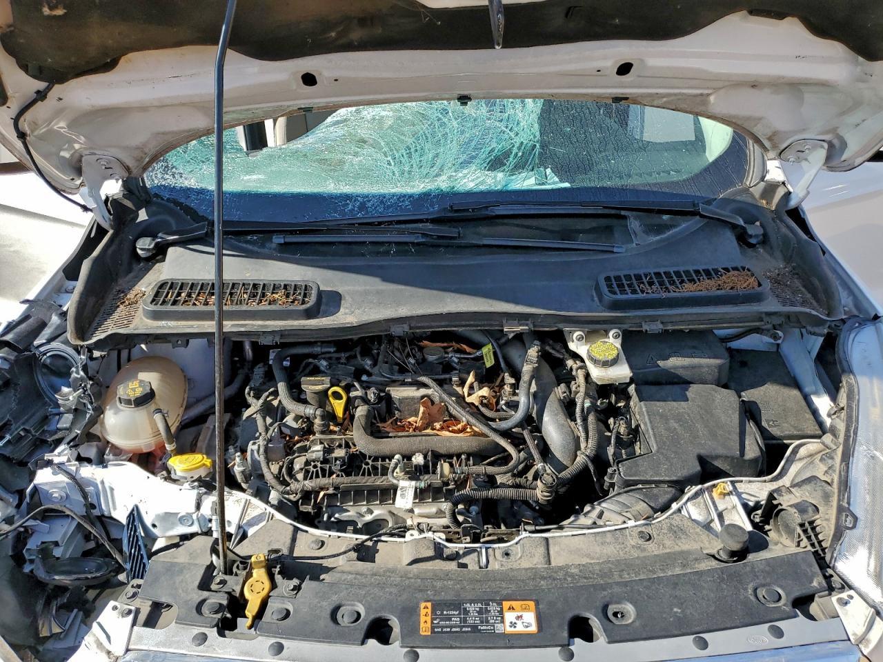 2019 FORD ESCAPE