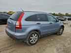 2009 HONDA CR-V