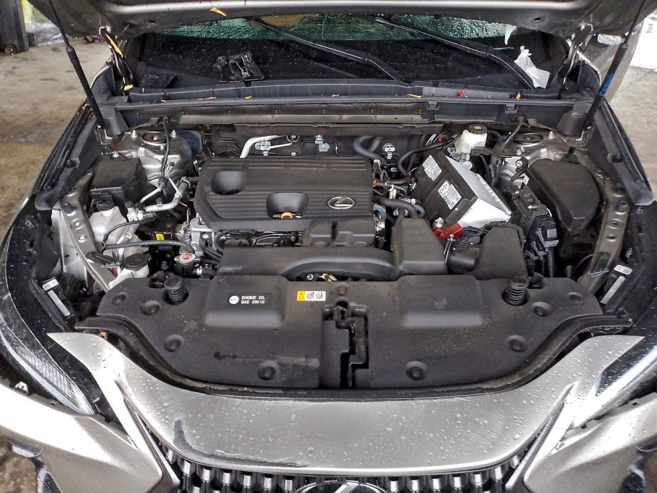 2024 LEXUS NX 250