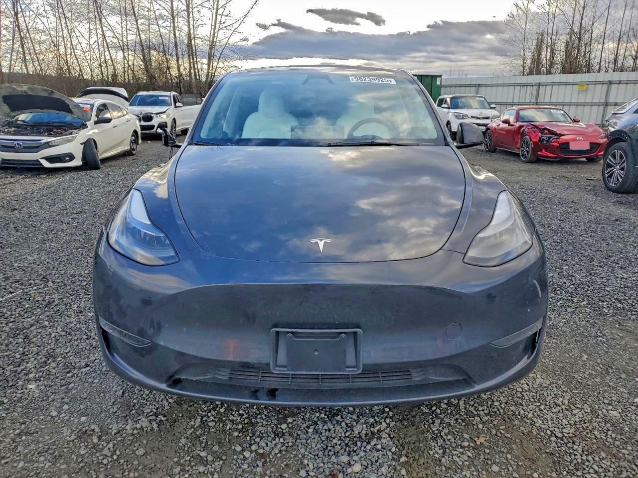 2024 TESLA MODEL Y