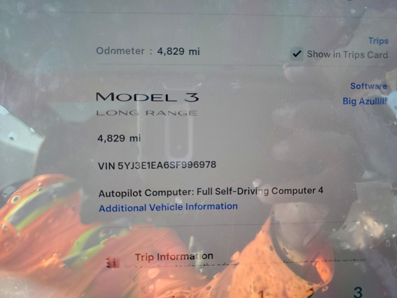 2025 TESLA MODEL 3