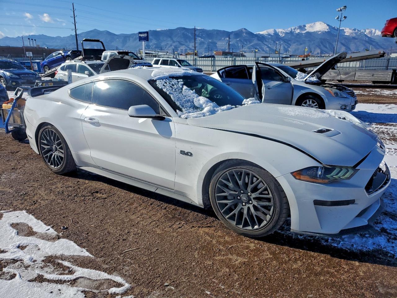2019 FORD MUSTANG