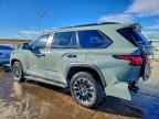 2024 TOYOTA Sequoia