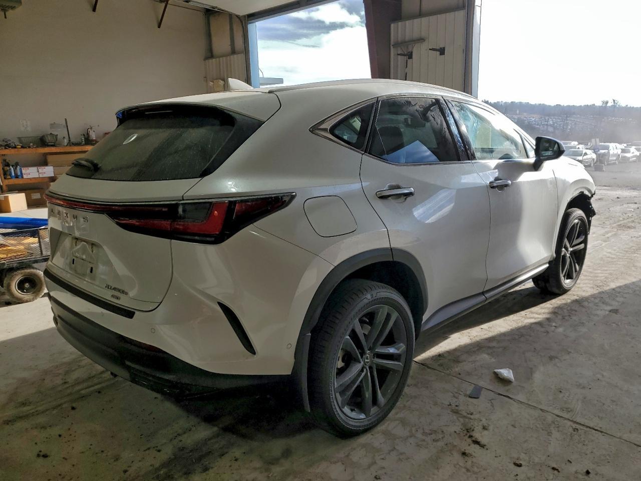 2025 LEXUS Nx