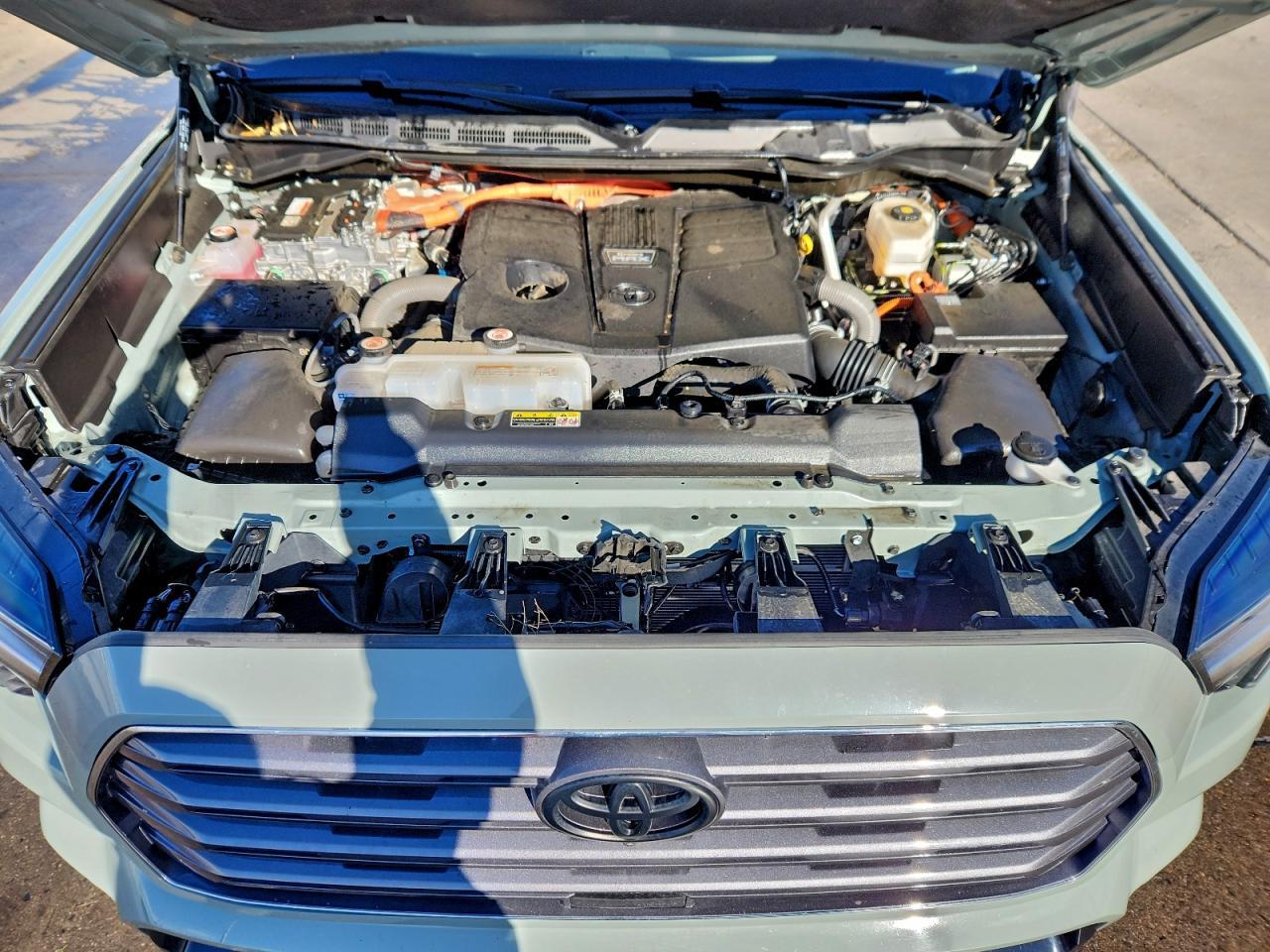 2024 TOYOTA Sequoia