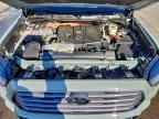 2024 TOYOTA Sequoia