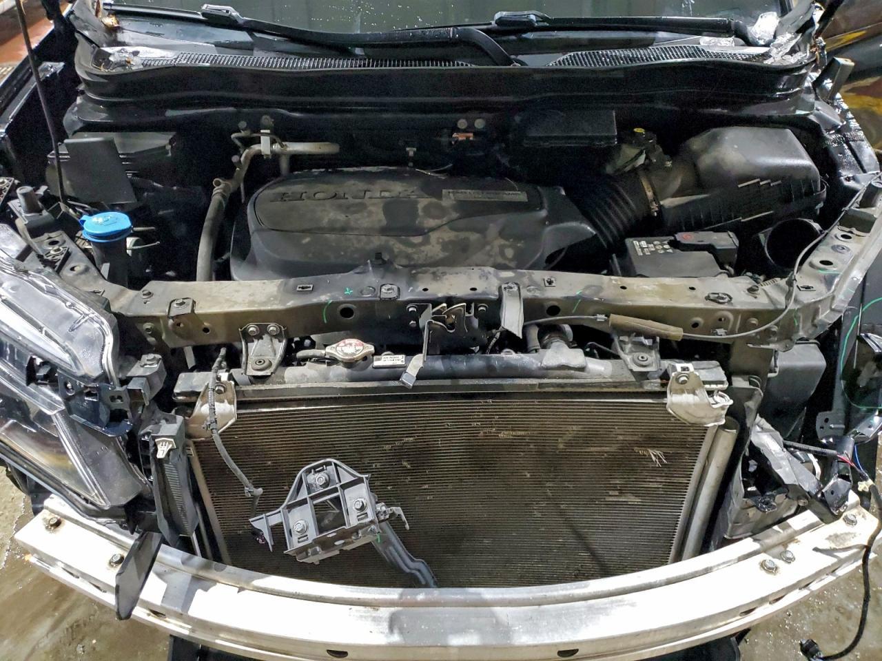 2019 HONDA Passport