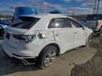 2023 AUDI Q3